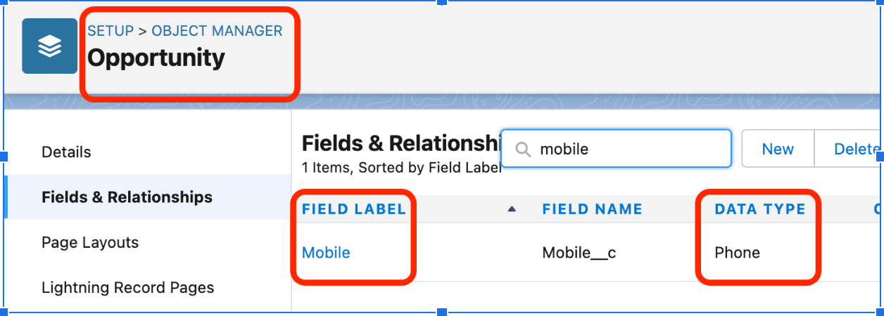 Custom field to store the mobile number of opportunity.