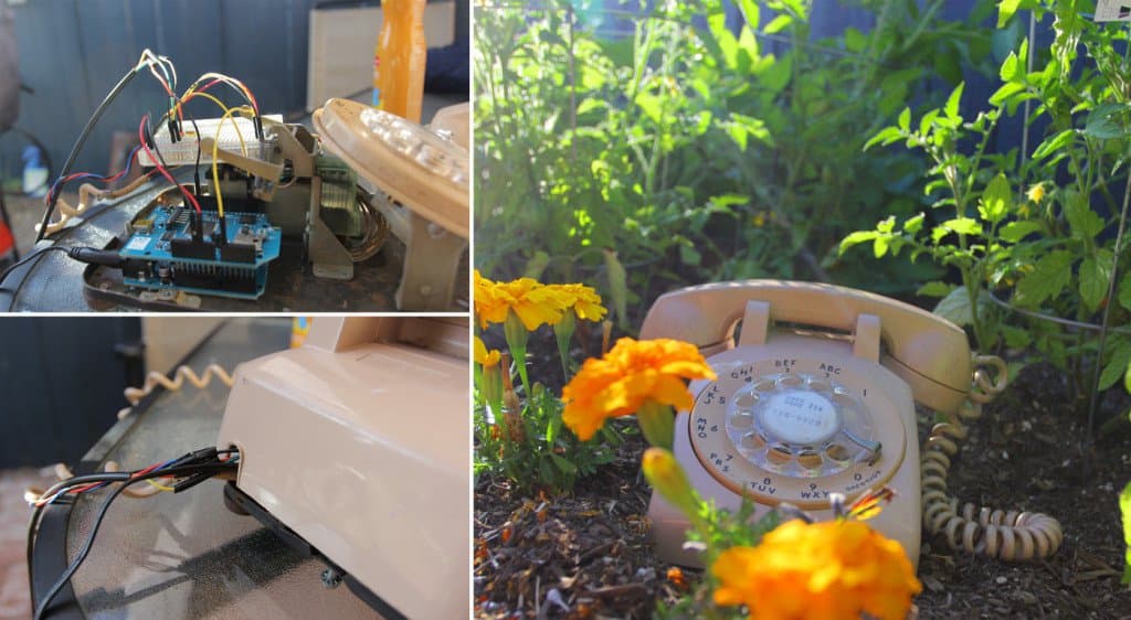 Rotary phone connected to electronics with wires, placed among flowers in a garden.