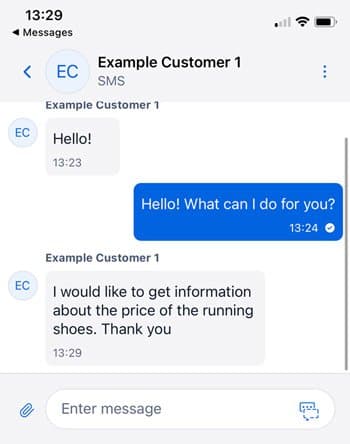 Chat with customer asking about running shoes price.