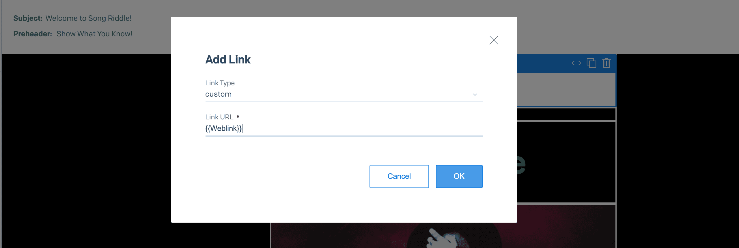 Add Link modal with fields for Link Type and Link URL, showing 'custom' and '{{Weblink}}'.