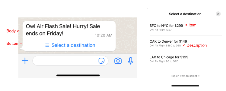 Owl Air Flash Sale message with destination selection options for flights to NYC, Denver, and Chicago.