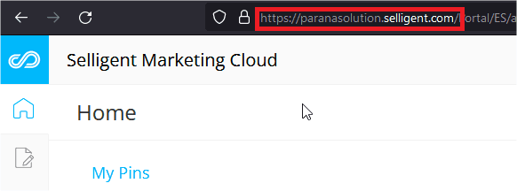 Selligent Marketing Cloud homepage with My Pins section highlighted.