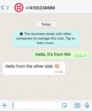 WhatsApp chat showing a message from WA and a reply with a waving hand emoji.