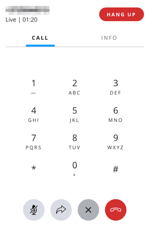 DTMF dialpad with numbers 0-9, asterisk, and pound sign.