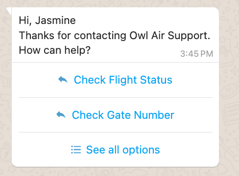 Chat from Owl Air Support offering options to check flight status, gate number, or see all options.