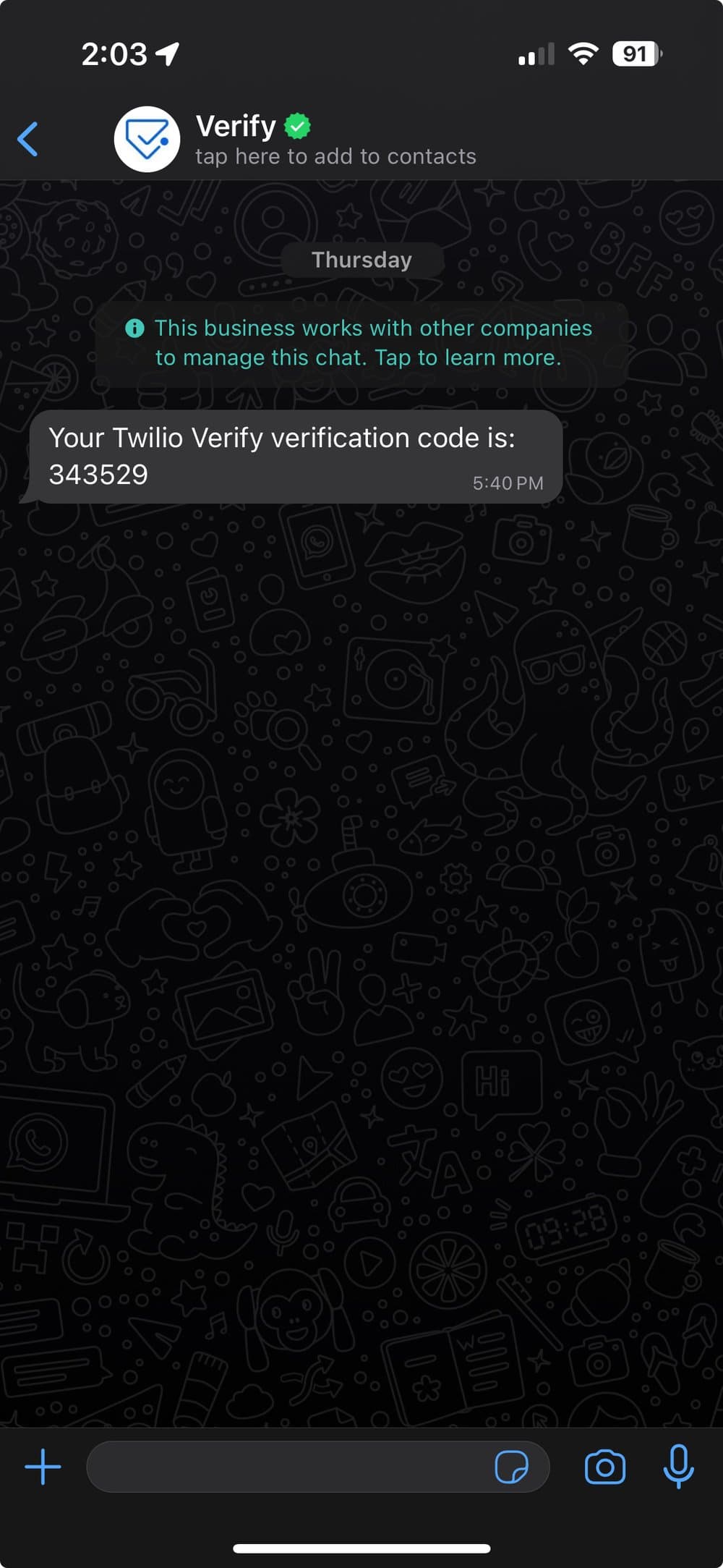 WhatsApp Verify Chat Thread Screenshot.