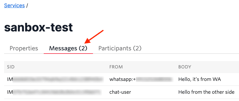 Messages tab showing two entries from WhatsApp and chat user.