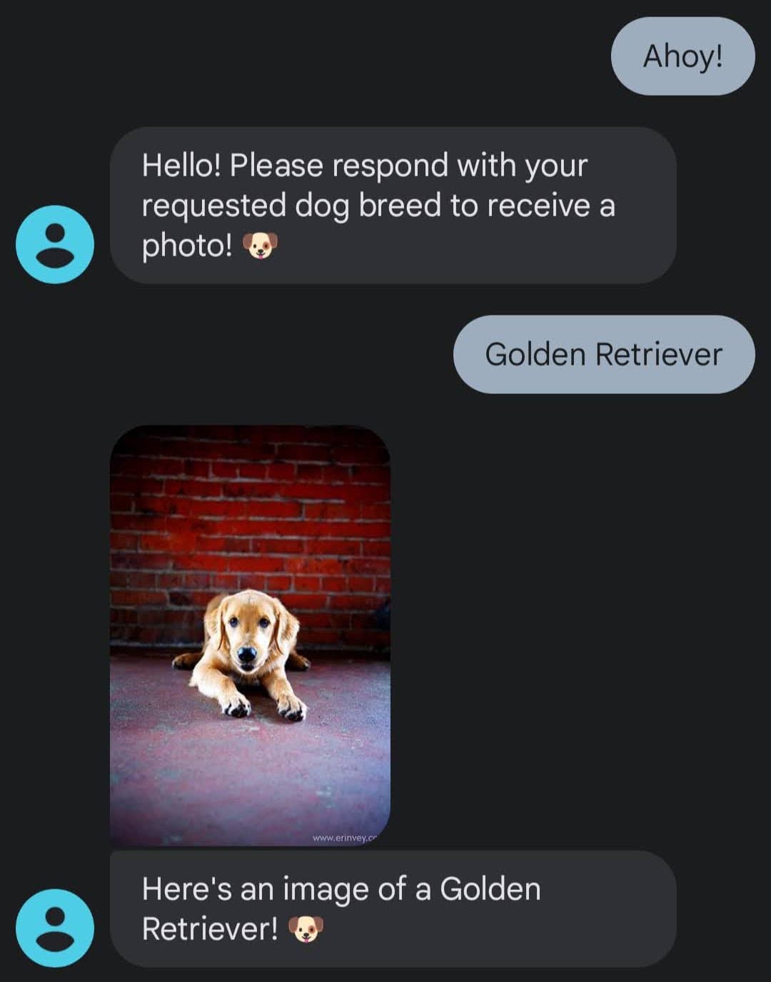 Chatbot conversation showing a golden retriever request and response.