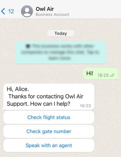 WhatsApp chat with Owl Air offering options to check flight status, gate number, or speak with an agent.