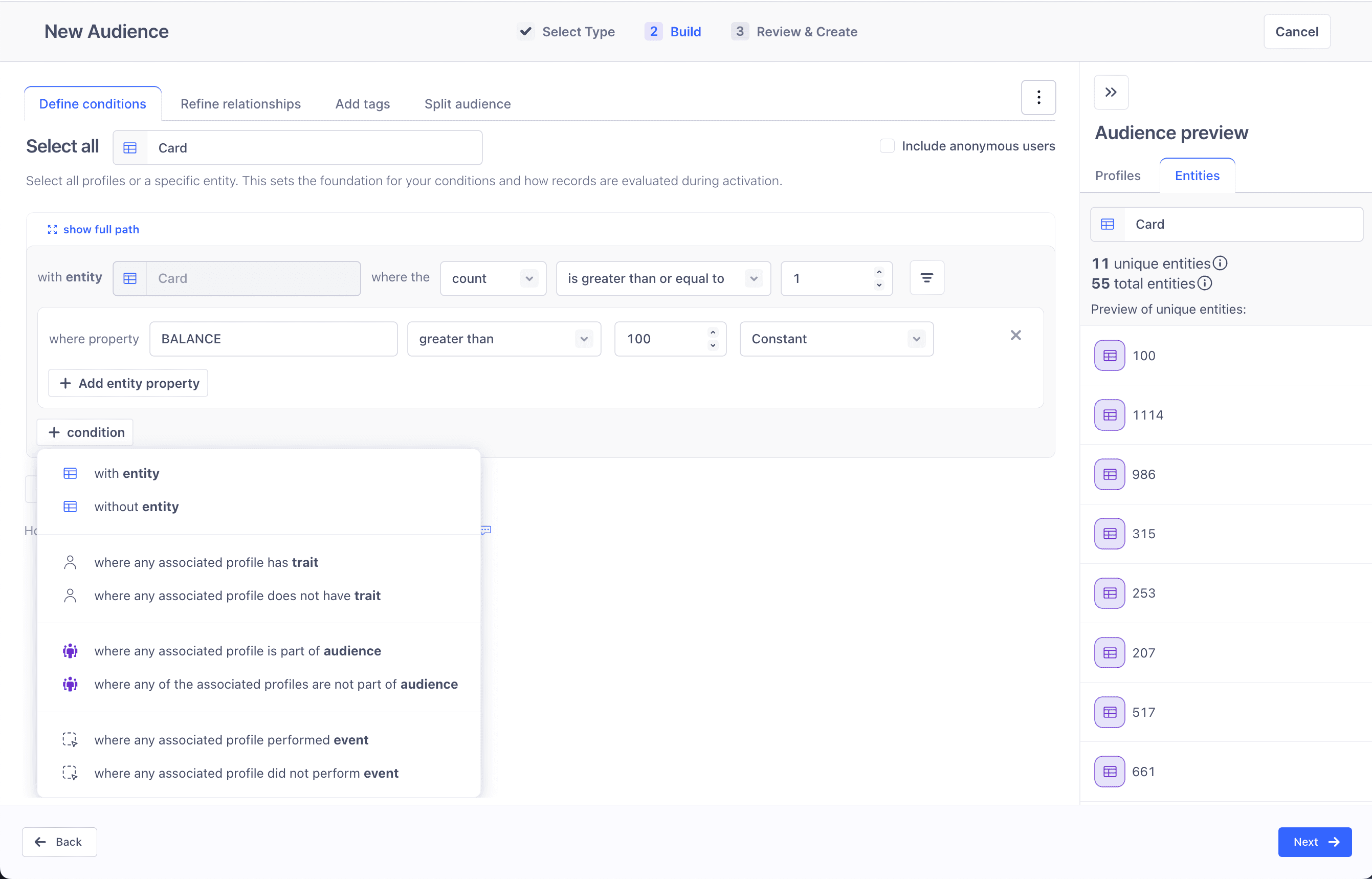 Interface for defining audience conditions with entity and balance filters.