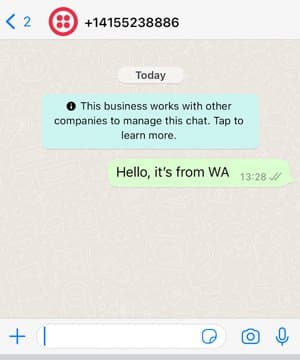 WhatsApp chat with business notification and first message saying 'Hello, it's from WA'.