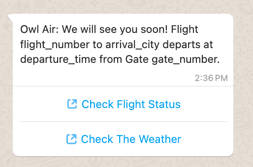 Owl Air flight details with links to check flight status and weather.