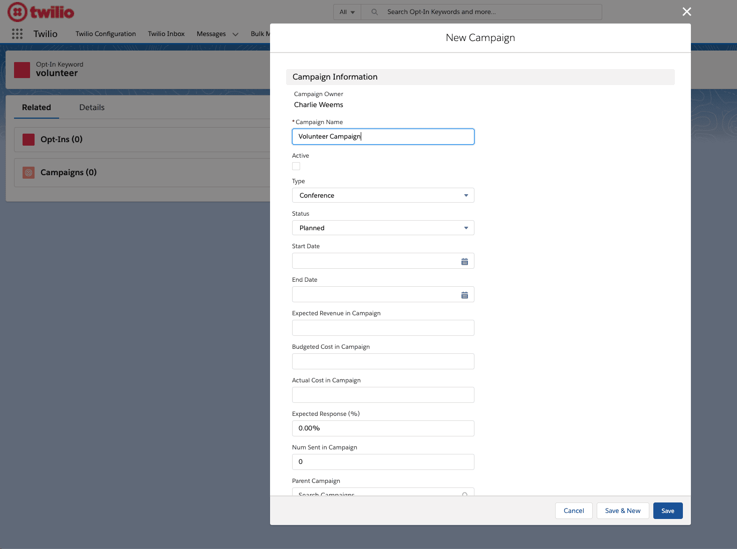 Form for creating a new campaign with fields for name, type, status, and dates.
