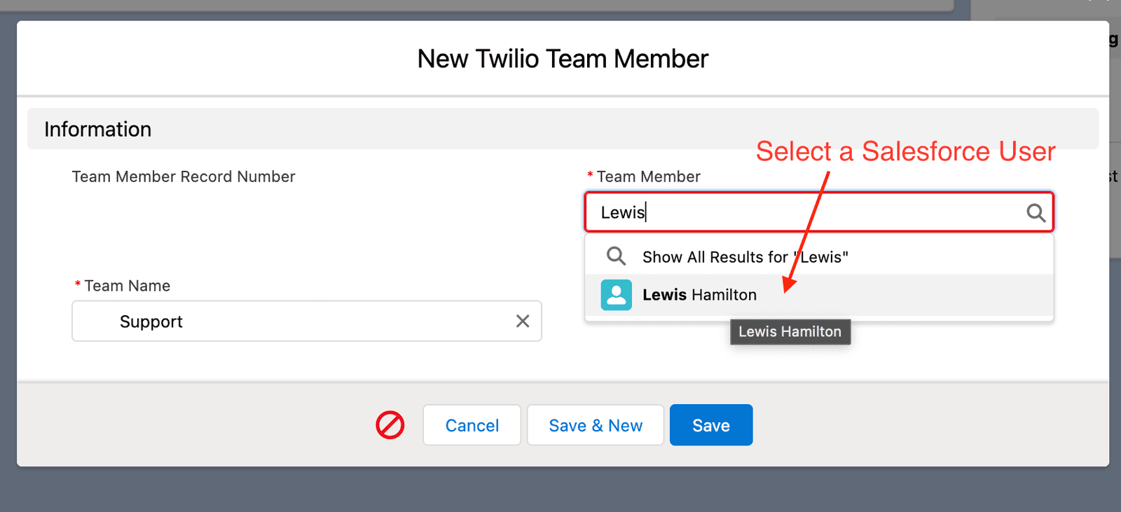 Form to add a new Twilio team member with a search for 'Lewis' in the Team Member field.